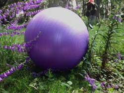 Birth-ball-in-garden.web