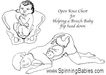 Breech tilt hotsell