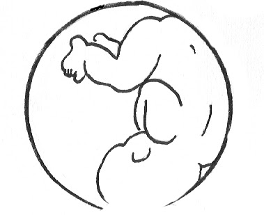 Spinning Babies The Occiput Posterior baby is head down with the back of baby's head, or occiput, towards mom's posterior, or back. The posterior positions are LOP, ROP, OP, and midwife Jean Sutton includes ROT due to the strong tendency for the ROT baby to rotate to posterior before the end of the birth process).