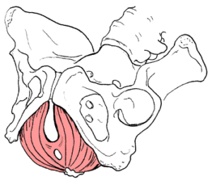 Spinning Babies If the difficulty comes from the curvature of the lumbar region ... put the parturient in a position with her knees flexed so that, with the vulva situated at the top, the pathways are easier.