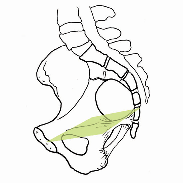 Pelvic midpelvis level