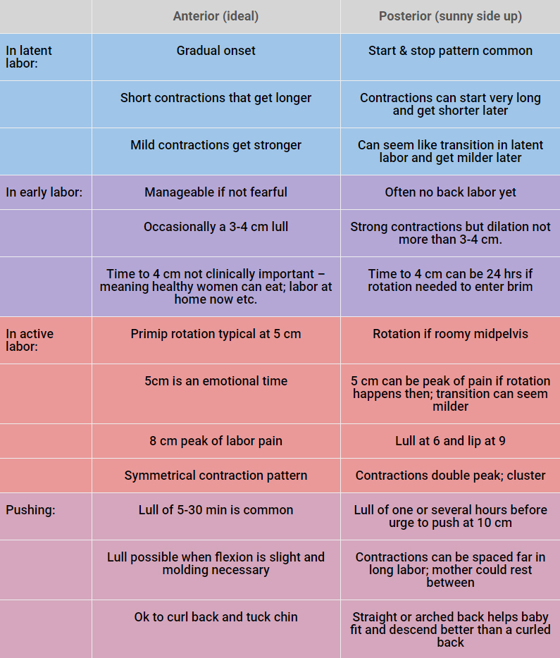 Stages Of Labor Handout Better Birth Blog 53 OFF