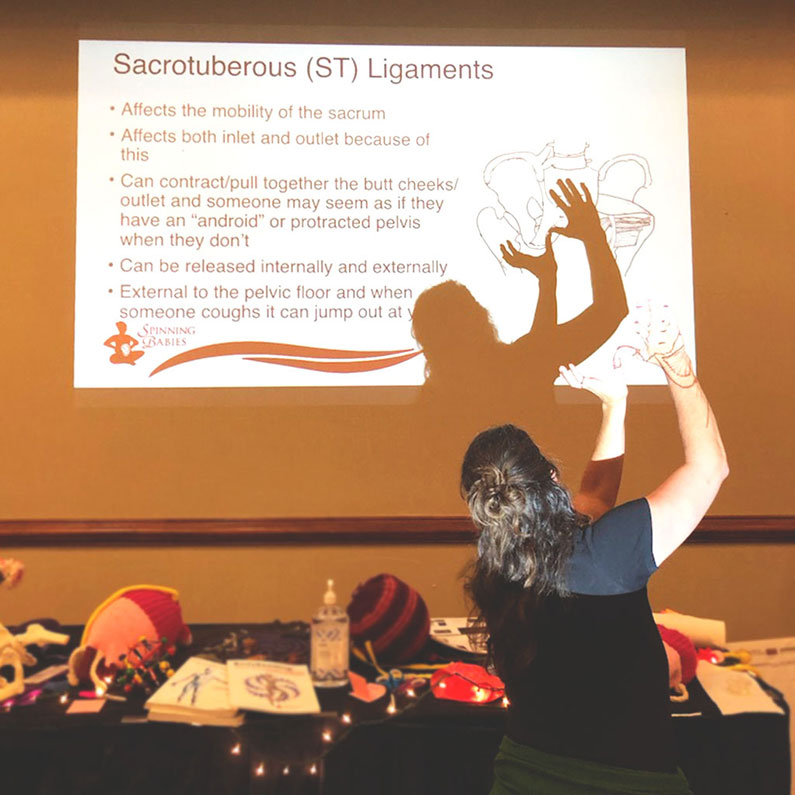 sacrotuberous ligaments
