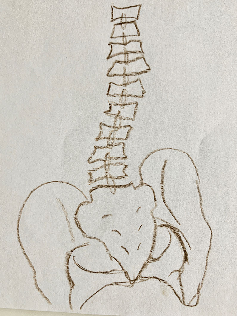Spinning Babies The cause can be explained as “running in the family” but is not hereditary. This could mean family patterns of movement or constraint may theoretically be passed on affecting the spine, even from utero. Some scoliosis is caused by cerebral palsy or other conditions. Liz Koch points to the psoas muscles and offers insights to resolution, see next.
