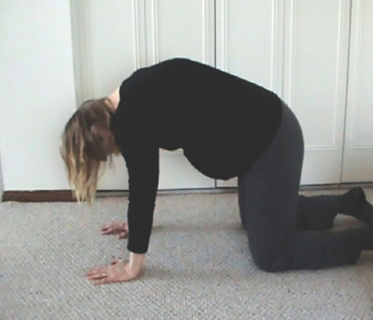 Pelvic Tilt Spinning Babies