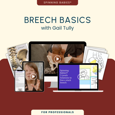 Breech Basics