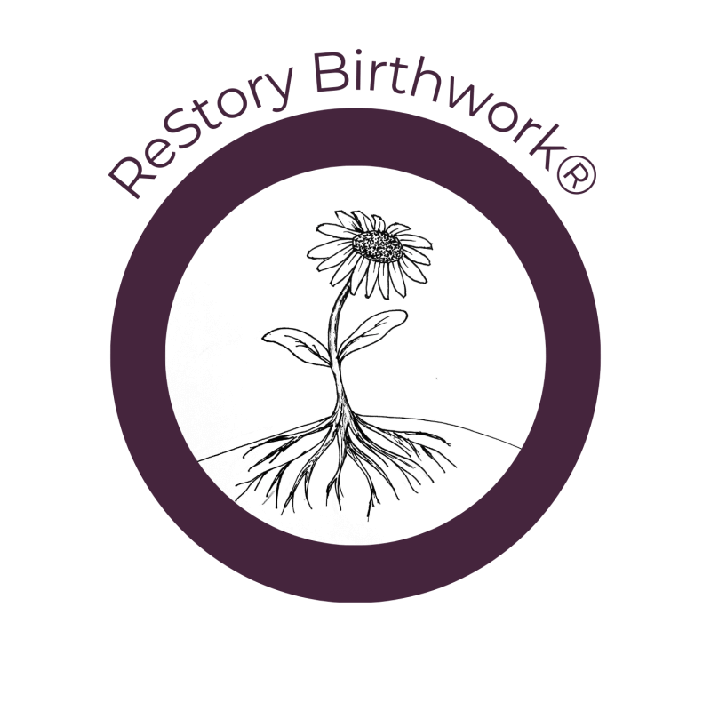 Breech Birth Quick Guide, 2nd Edition by Nicole Morales, Jamie Mossay and Gail Tully - Image 2