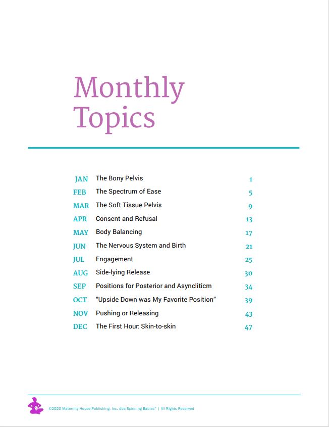 My Spin Book 2021 Spinning Babies® Journal Spinning Babies