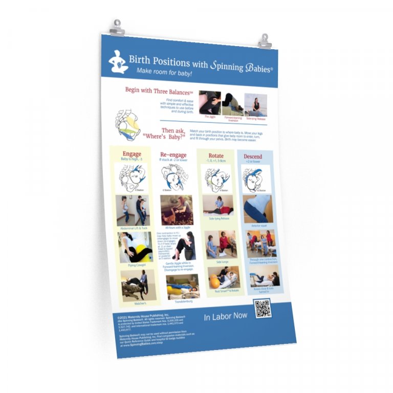 Shop Spinning Babies