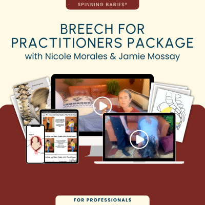 Breech for Practitioners Package