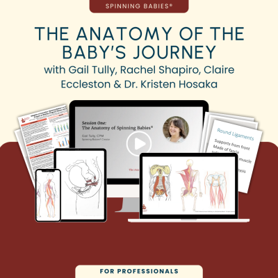 The Anatomy of the Baby's Journey