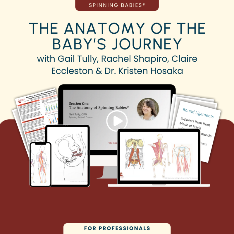 The Anatomy of the Baby's Journey