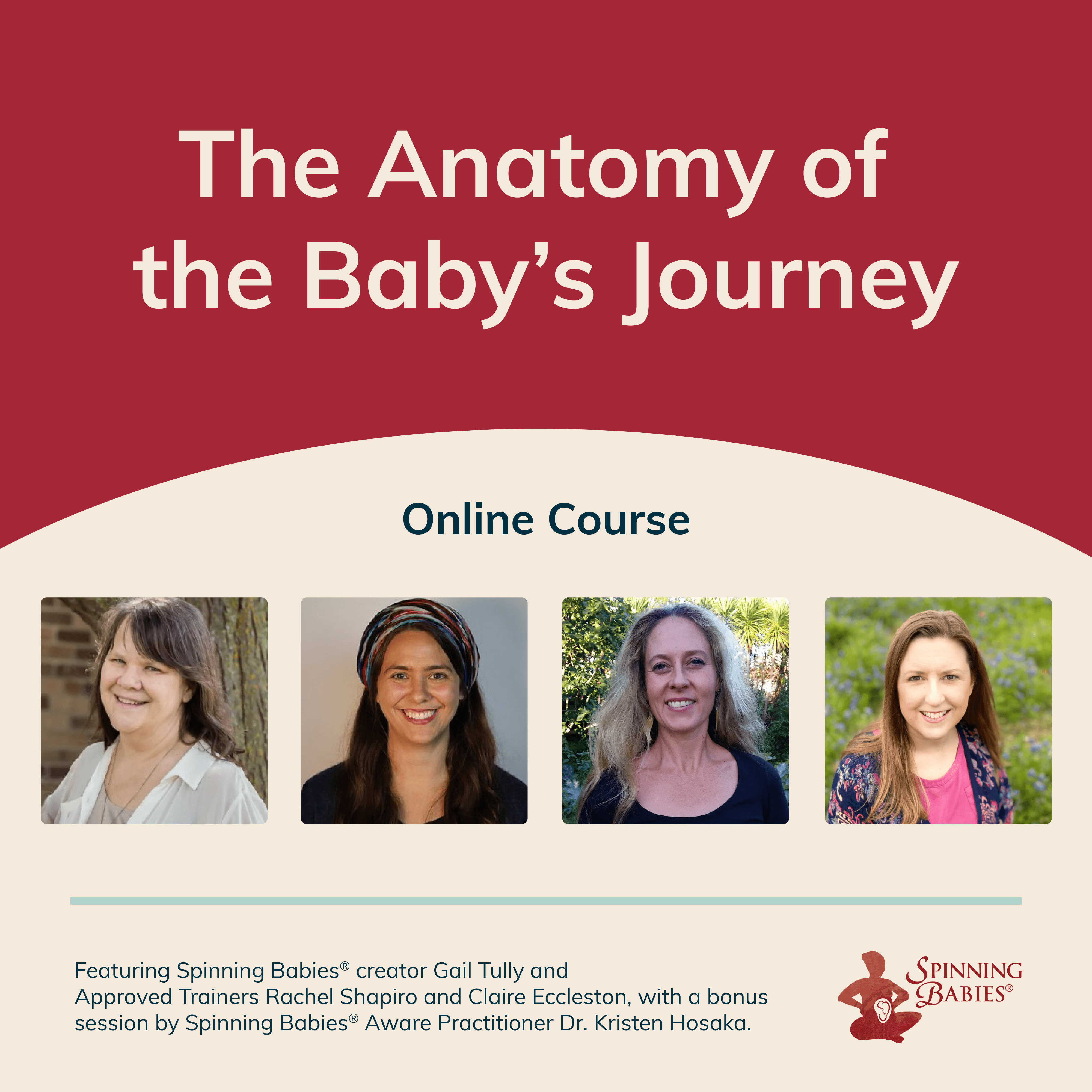 The Anatomy of the Baby's Journey Spinning Babies