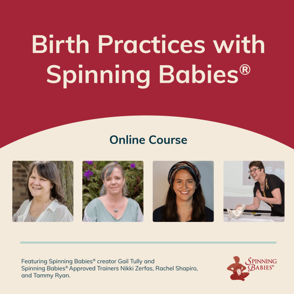 Breech Birth Quick Guide Digital Download Spinning Babies