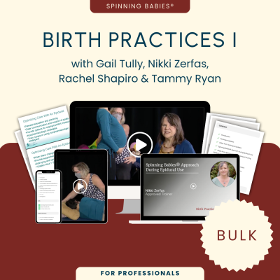 Birth Practices with Spinning Babies® (Bulk)