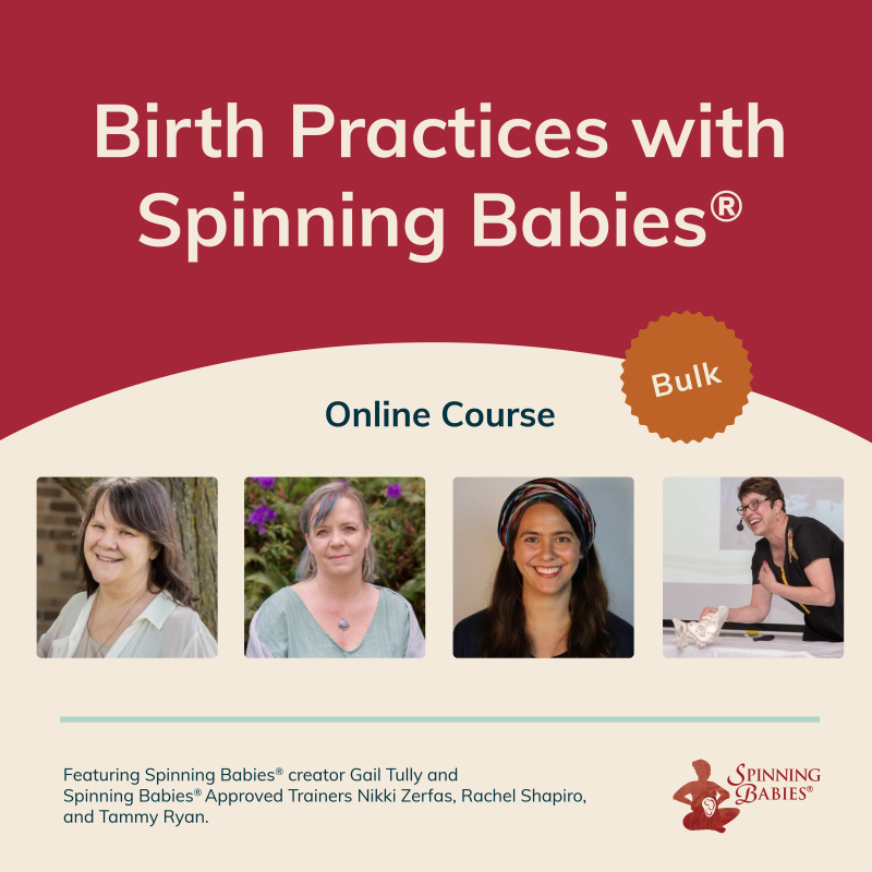 Birth Practices with Spinning Babies® (Bulk)