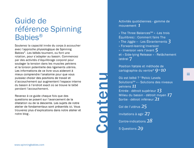 French SPINNING BABIES® Digital Quick Reference Guide - Image 2