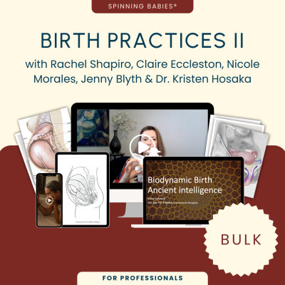 Birth Practices II with Spinning Babies®