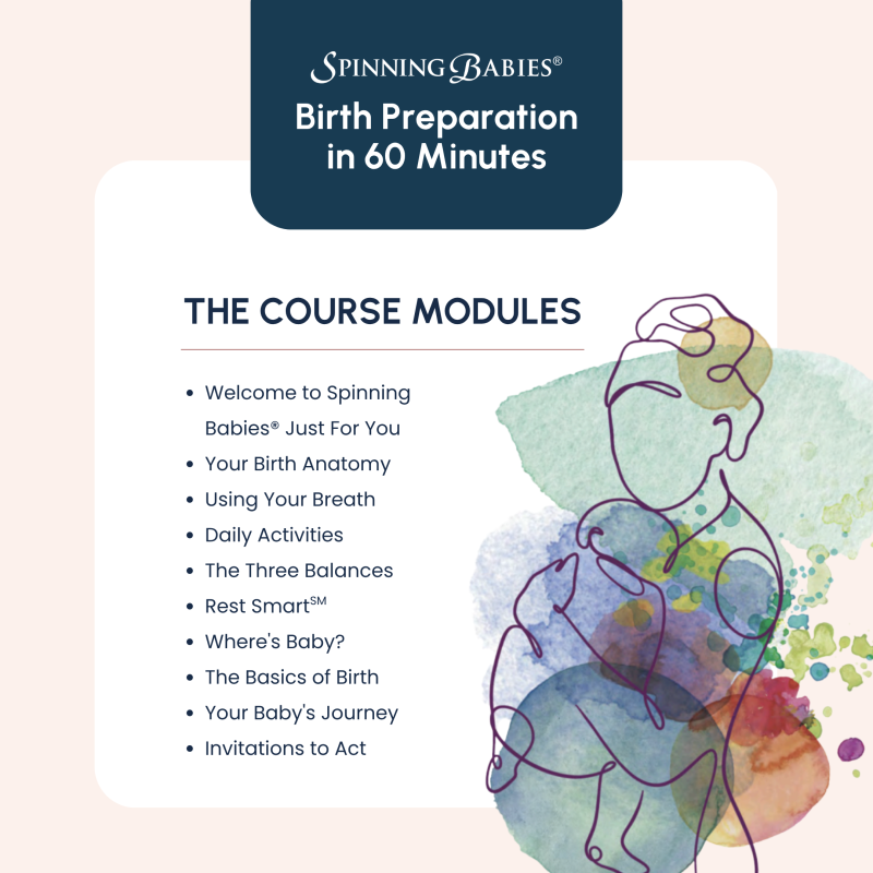 Spinning Babies® Birth Preparation in 60 Minutes Online Course for Parents - Image 2