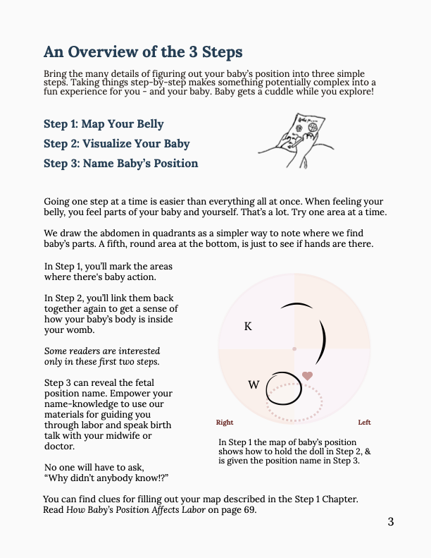 Spinning Babies Spinning Babies® website helps birthing parents and their providers have an easier birth with the baby in any position. Visit our Baby Positions for more in depth resources to activate your birth physiology.