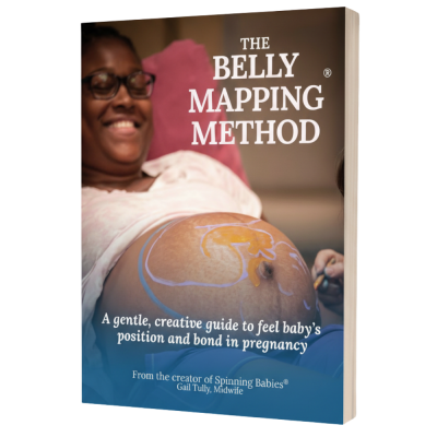 The Belly Mapping® Method Book