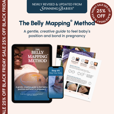 The Belly Mapping® Method eBook