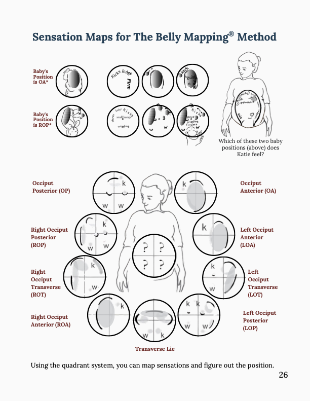 Spinning Babies Spinning Babies® website helps birthing parents and their providers have an easier birth with the baby in any position. Visit our Baby Positions for more in depth resources to activate your birth physiology.