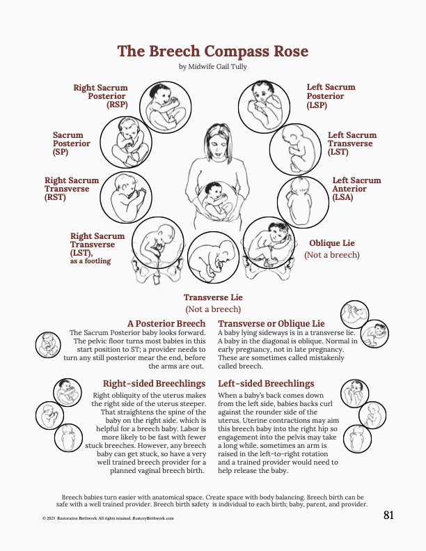 Spinning Babies Spinning Babies® website helps birthing parents and their providers have an easier birth with the baby in any position. Visit our Baby Positions for more in depth resources to activate your birth physiology.
