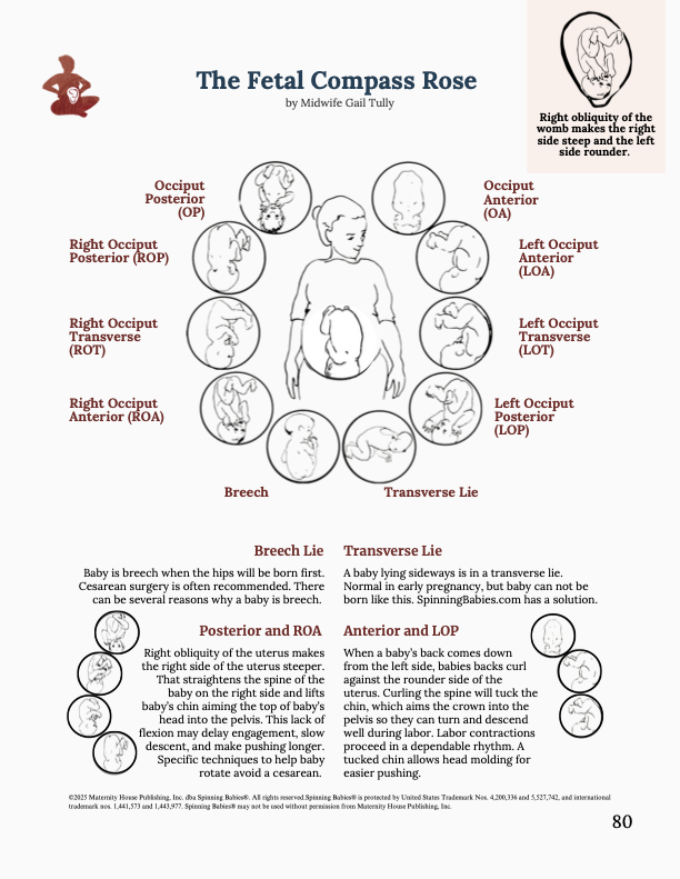 Spinning Babies Spinning Babies® website helps birthing parents and their providers have an easier birth with the baby in any position. Visit our Baby Positions for more in depth resources to activate your birth physiology.