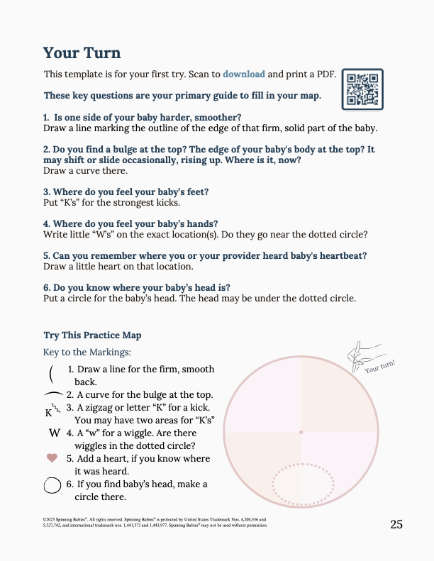 Spinning Babies Spinning Babies® website helps birthing parents and their providers have an easier birth with the baby in any position. Visit our Baby Positions for more in depth resources to activate your birth physiology.