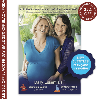 Daily Essentials Video Digital Download