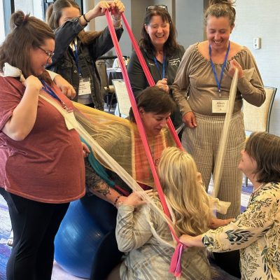 Spinning Babies *Spinning Babies® Birth Skills Training Irving, Tx - Spring 2025