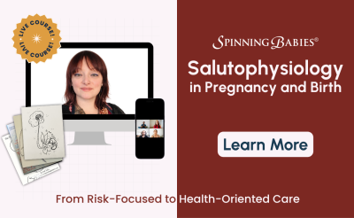 Spinning Babies Salutophysiology invites a different starting point. It begins with a different question.